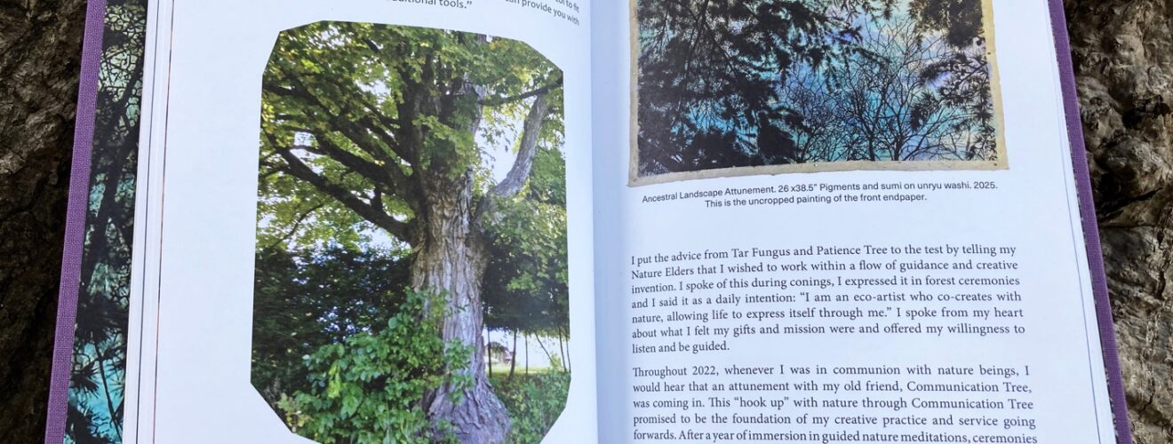 A book held open to show an extract of a chapter